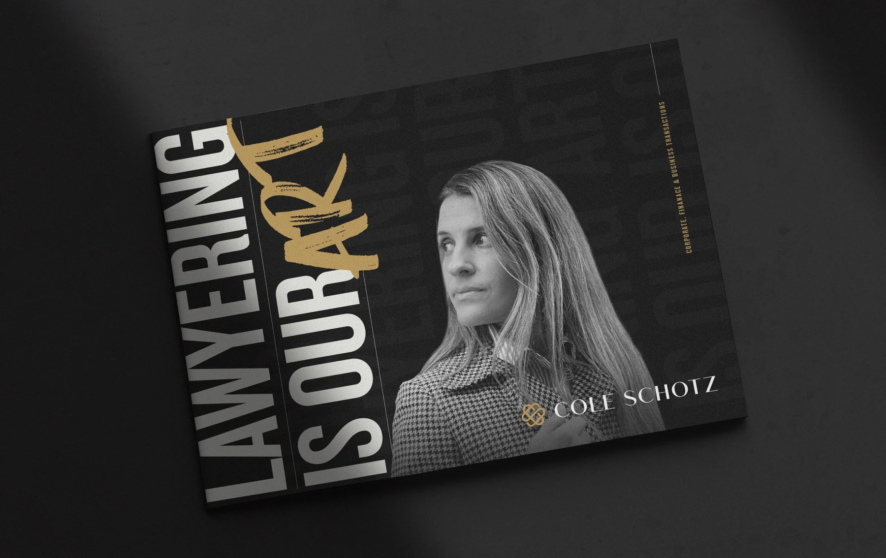 Cole Schotz website design