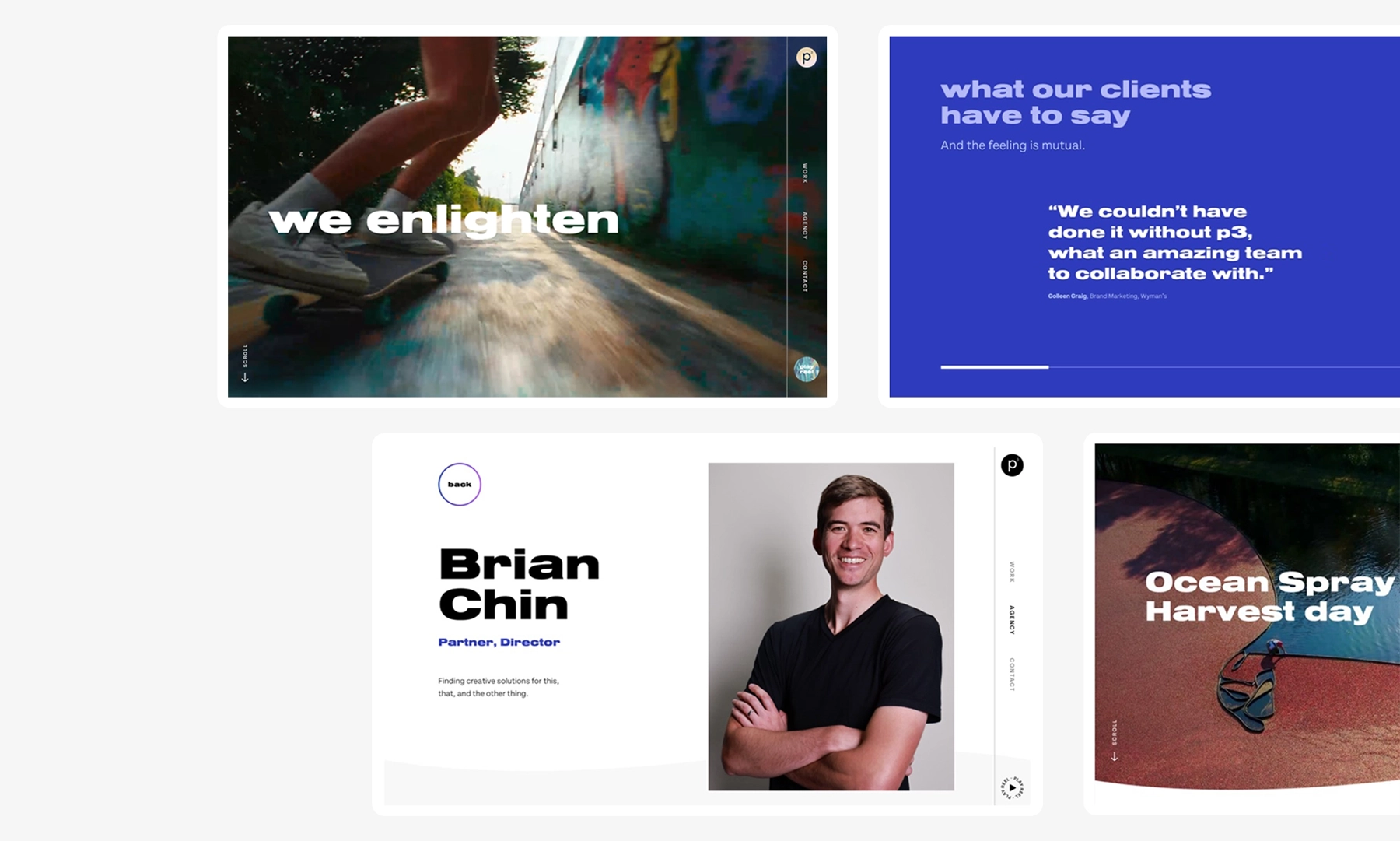A flexible family of project pages